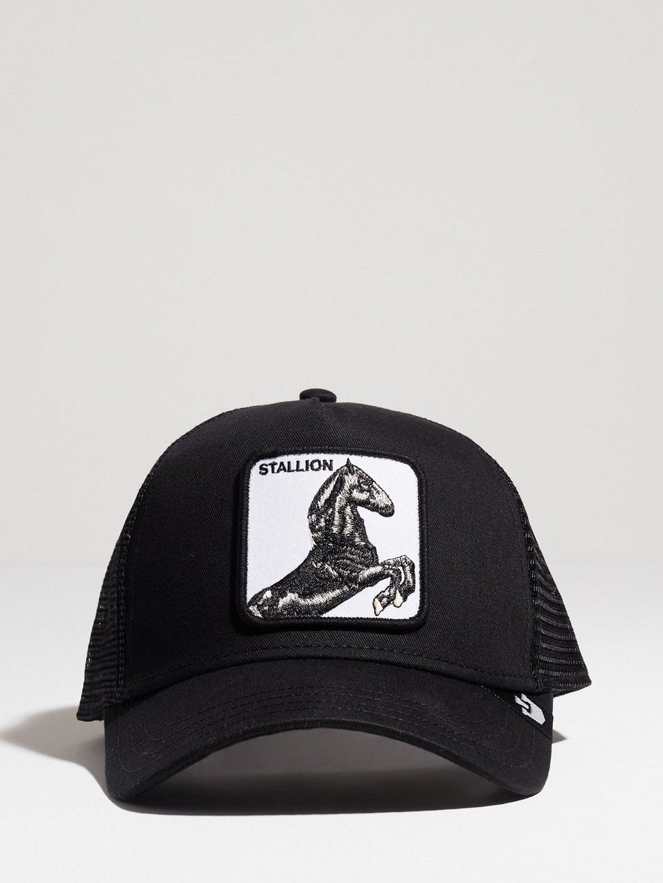 Black Stallion Cap